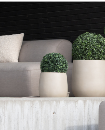 A modern outdoor seating area with a light gray sofa, beige cushion and two Artificial Boxwood roman style UV D30cm round potted plants on a concrete ledge against a black horizontal slatted wall.