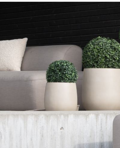 A modern outdoor seating area with a light gray sofa, beige cushion and two Artificial Boxwood roman style UV D30cm round potted plants on a concrete ledge against a black horizontal slatted wall.