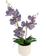 Artificial AscoConenda 50 cm Purple - Easyplants Artificial Plants & Flowers