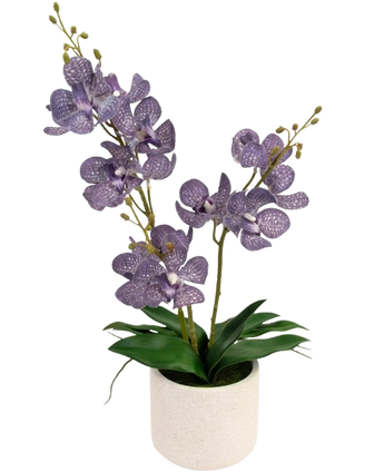 Artificial AscoConenda 50 cm Purple - Easyplants Artificial Plants & Flowers