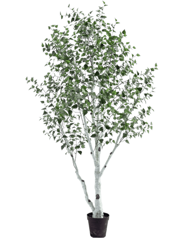 De Kunst Berkenboom 300 cm is een kunstberk in pot met een witte stam en takken, versierd met kleine groene blaadjes, tegen een effen witte achtergrond.