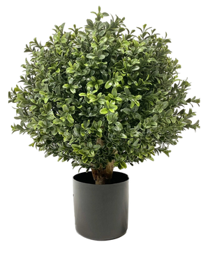 Artificial Buxus on Stam D30 cm - Easyplants Artificial Plants & Flowers