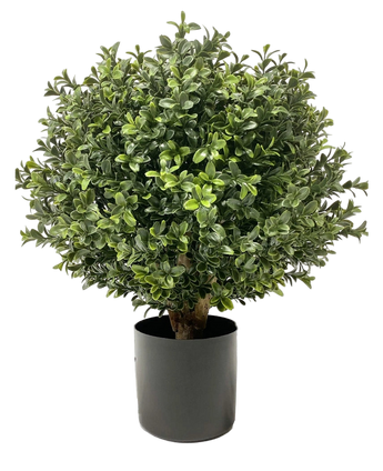 Artificial Buxus on Stam D30 cm - Easyplants Artificial Plants & Flowers