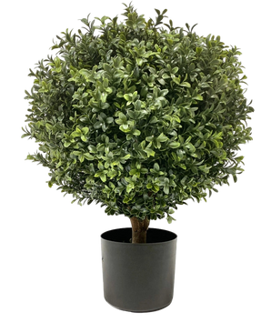 Artificial boxwood on stem d40 cm - Easyplants Artificial Plants & Flowers