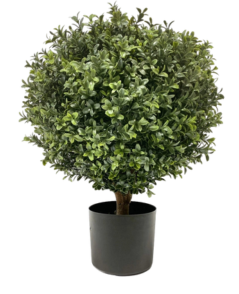 Artificial boxwood on stem d40 cm - Easyplants Artificial Plants & Flowers