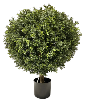 Artificial Buxus on Stam D60 CM - Easyplants Artificial Plants & Flowers