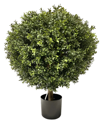 Artificial Buxus on Stam D60 CM - Easyplants Artificial Plants & Flowers