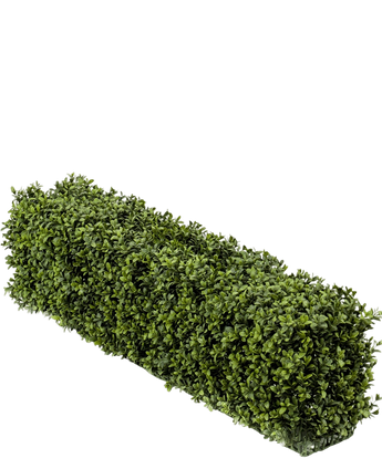 Artificial Buxus hedge 100x20x25 cm UV - Easyplants Artificial Plants & Flowers