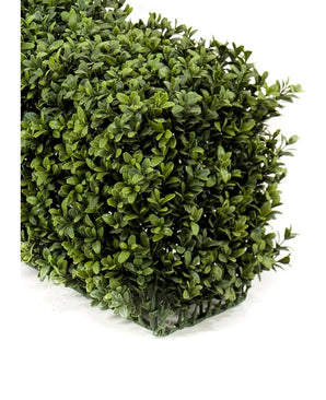 Een close-up van de Kunst Buxushaag 100x20x25 cm UV, een dichte kunstmatige buxushaag met kleine, glanzend groene bladeren tegen een effen witte achtergrond.