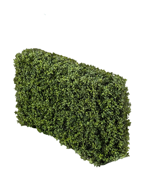 Artificial Buxus hedge 100x20x50 cm UV - Easyplants Artificial Plants & Flowers