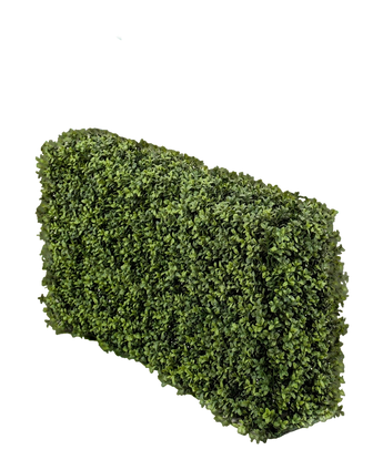 Artificial Buxus hedge 100x20x50 cm UV - Easyplants Artificial Plants & Flowers