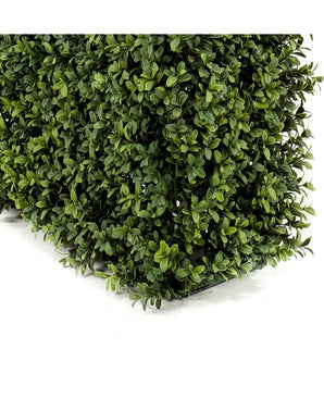 Artificial Boxwood hedge UV 100x20x50 cm hedge panel with small, glossy green leaves is depicted on a white background.