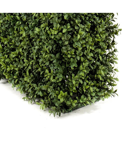 Kunst Buxushaag UV 100x20x50 cm haagpaneel met kleine, glanzend groene bladeren is afgebeeld op een witte achtergrond.