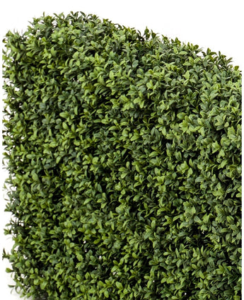 A close-up of Artificial Boxwood Hedge UV 100x20x50 cm hedge panels, with densely packed small green leaves against a white background.