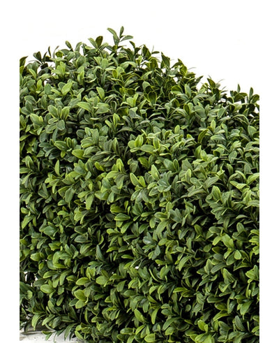 Een dichte tros groene bladeren van de Kunst Buxushaag UV 70x20x25 cm vormt een weelderige, bladerrijke haag tegen een effen witte achtergrond.