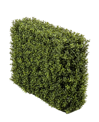 Artificial Buxus hedge 70x20x50 cm UV - Easyplants Artificial Plants & Flowers