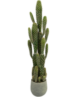 Artificial cactus 100 cm - Easyplants Artificial Plants & Flowers