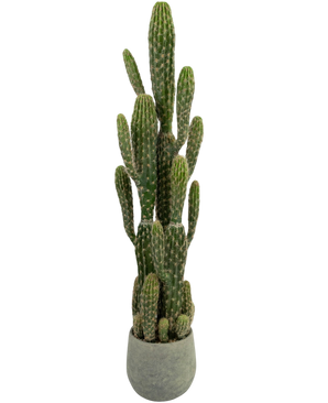 Artificial cactus 100 cm - Easyplants Artificial Plants & Flowers