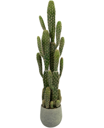Artificial cactus 100 cm - Easyplants Artificial Plants & Flowers