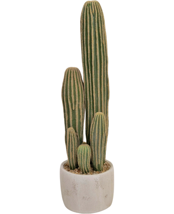 Artificial cactus 59 cm - Easyplants Artificial Plants & Flowers