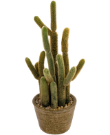 Artificial Cactus Cereus 35 cm - Easyplants Artificial Plants & Flowers