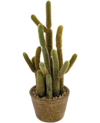 Artificial Cactus Cereus 35 cm - Easyplants Artificial Plants & Flowers