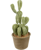 Artificial Cactus Cereus 35 cm - Easyplants Artificial Plants & Flowers