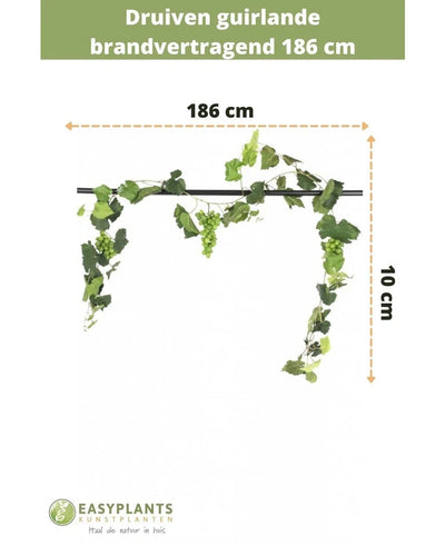 De Kunst Druiven guirlande brandvertragend 186 cm is 10 cm hoog, met groene bladeren en druiven. Ideaal als kunstplantdecoratie of brandvertragende slinger. Voorzien van Nederlandse tekst en Easyplants Kunstplanten logo onderaan.