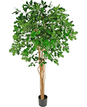 Artificial oak tree 210 cm - Easyplants Artificial Plants & Flowers