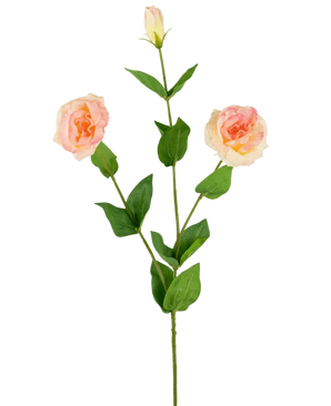 Artificial EUSTOMA REAL TOUCH LIGHT PINK 72CM - Easyplants Artificial Plants & Flowers