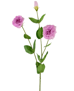 Artificial EUSTOMA REAL TOUCH PINK 72CM - Easyplants Artificial Plants & Flowers