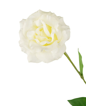 De Kunst Eustoma Real Touch Wit 72cm heeft een enkele witte bloem met ruches in de bloemblaadjes en groene bladeren, perfect geïsoleerd op een effen witte achtergrond.