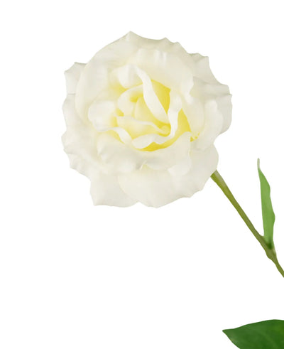 De Kunst Eustoma Real Touch Wit 72cm heeft een enkele witte bloem met ruches in de bloemblaadjes en groene bladeren, perfect geïsoleerd op een effen witte achtergrond.