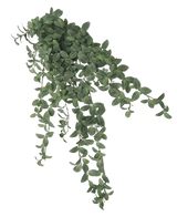 Artificial Fittonia Green-White 90cm - Easyplants Artificial Plants & Flowers