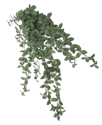 Artificial Fittonia Green-White 90cm - Easyplants Artificial Plants & Flowers