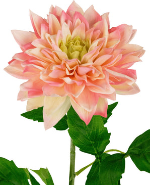 Een close-up van de Kunst Georgine Real Touch Geel/roze 70cm toont de roze en gele gelaagde bloemblaadjes met groene blaadjes tegen een witte achtergrond.