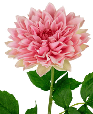 Een close-up van de Kunst Georgine Real Touch Roze 70cm toont de roze dahlia bloemblaadjes in lagen met groene bladeren op een steel, tegen een witte achtergrond.