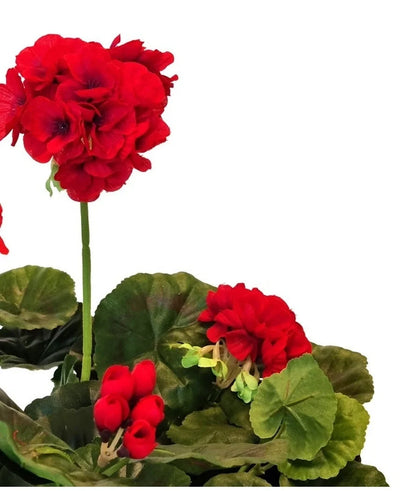 The Artificial Geranium 40 cm red has bright red artificial flowers with lush green round leaves against a white background - ideal artificial plants to add vibrant color to your interior.