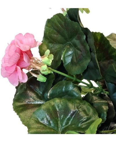 Een close-up van de Kunst Geranium 40 cm roze, met meerdere groene bladeren tegen een witte achtergrond.