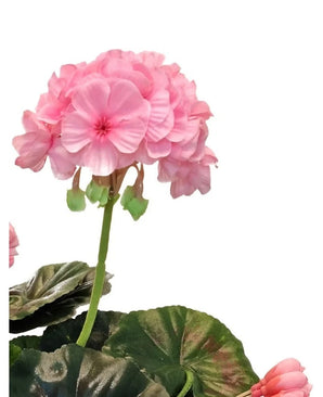 A close-up of the Artificial Geranium 40 cm pink, with lifelike pink flower clusters and green leaves against a white background, which emphasizes the realistic beauty of this artificial plant.