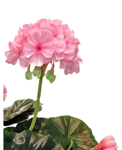 Een close-up van de Kunst Geranium 40 cm roze, met levensechte roze bloemtrossen en groene bladeren tegen een witte achtergrond, wat de realistische schoonheid van deze kunstplant benadrukt.