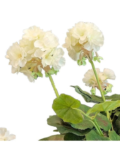 The Artificial Geranium 40 cm white has light cream-colored flowers with green stems and leaves against a white background - a beautiful addition to any artificial flower collection.