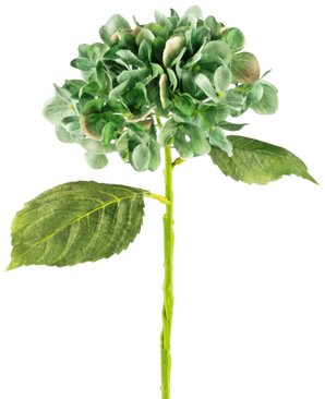 Artificial Hortensia Deluxe 33 cm Dark Green - Easyplants Artificial Plants & Flowers