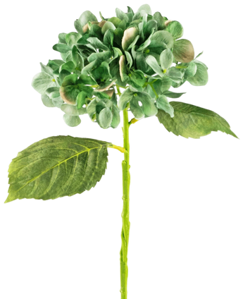 Artificial Hortensia Deluxe 33 cm Dark Green - Easyplants Artificial Plants & Flowers