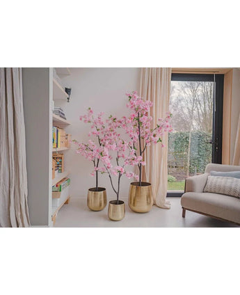 Drie Kunst Kersenbloesem 150 cm roze bomen in gouden potten staan bij een raam naast een beige bank en boekenplanken in een lichte, moderne woonkamer met crèmekleurige gordijnen.