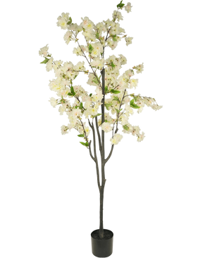 Artificial Cherry Blossom 180 cm White - Easyplants Artificial Plants & Flowers