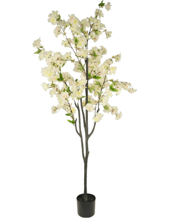 Artificial Cherry Blossom 180 cm White - Easyplants Artificial Plants & Flowers