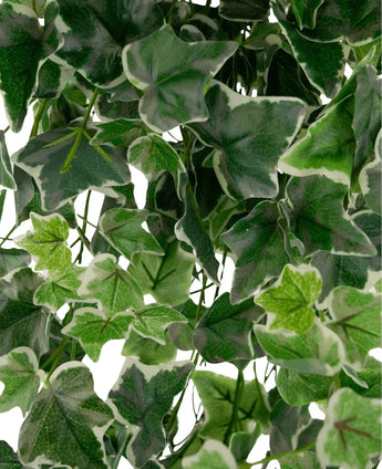 Close-up of Artificial Ivy 70 cm green/white: green and white variegated ivy leaves with serrated edges and visible veins, densely packed so that the background is largely hidden by the lush foliage.