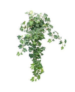 De Kunst Klimop Deluxe Groen 60cm heeft weelderige, groene, gelobde bladeren en elegante ranken, tegen een effen witte achtergrond.