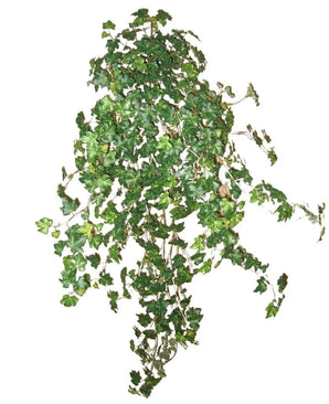 De Kunst Klimop Deluxe Groen 90cm is een lange klimop plant met groene bladeren en dunne stengels, afgebeeld tegen een witte achtergrond.